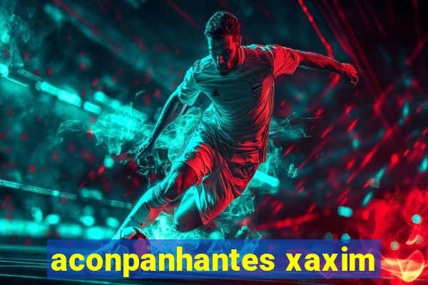 aconpanhantes xaxim